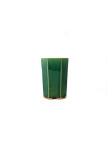 Tiesto hexagonal cascada 11 cm verde BG235