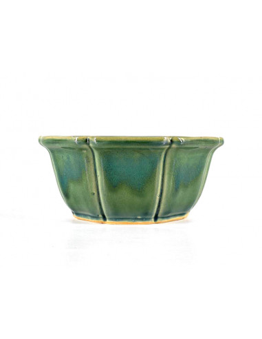 Tiesto hexagonal 17 cm verde BG245/2