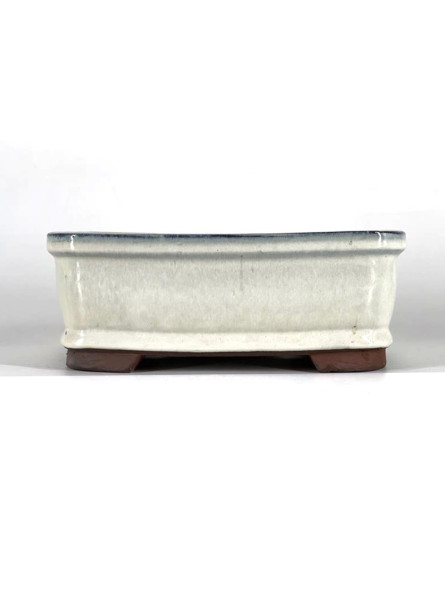 Tiesto rectangular 16 cm 18371/3 crema BG249/3