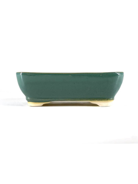 Tiesto rectangular 21.5 cm  verde agua BG254/2