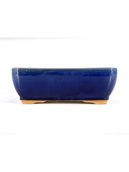 Tiesto rectangular 27 cm azul BG254/1