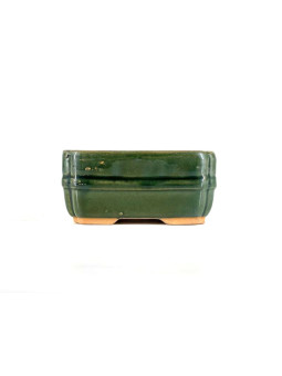 Tiesto cuadrado 15,5 cm verde BG225