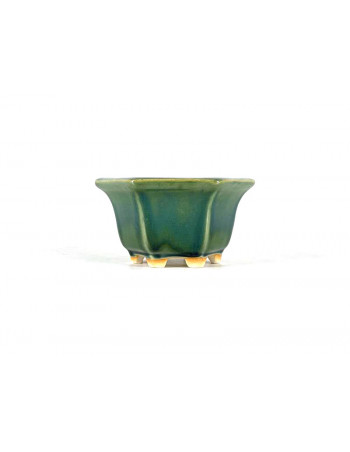 Tiesto hexagonal 11,5 cm verde BG240/1