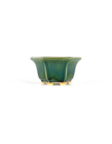 Tiesto hexagonal 11,5 cm verde BG240/1