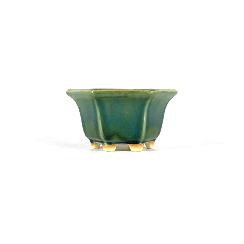 Tiesto hexagonal 11,5 cm verde BG240/1