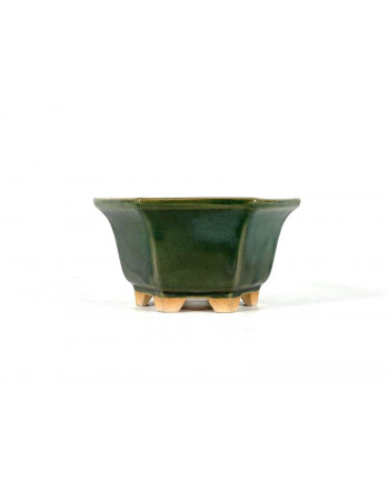 Tiesto hexagonal 14 cm verde BG240/2