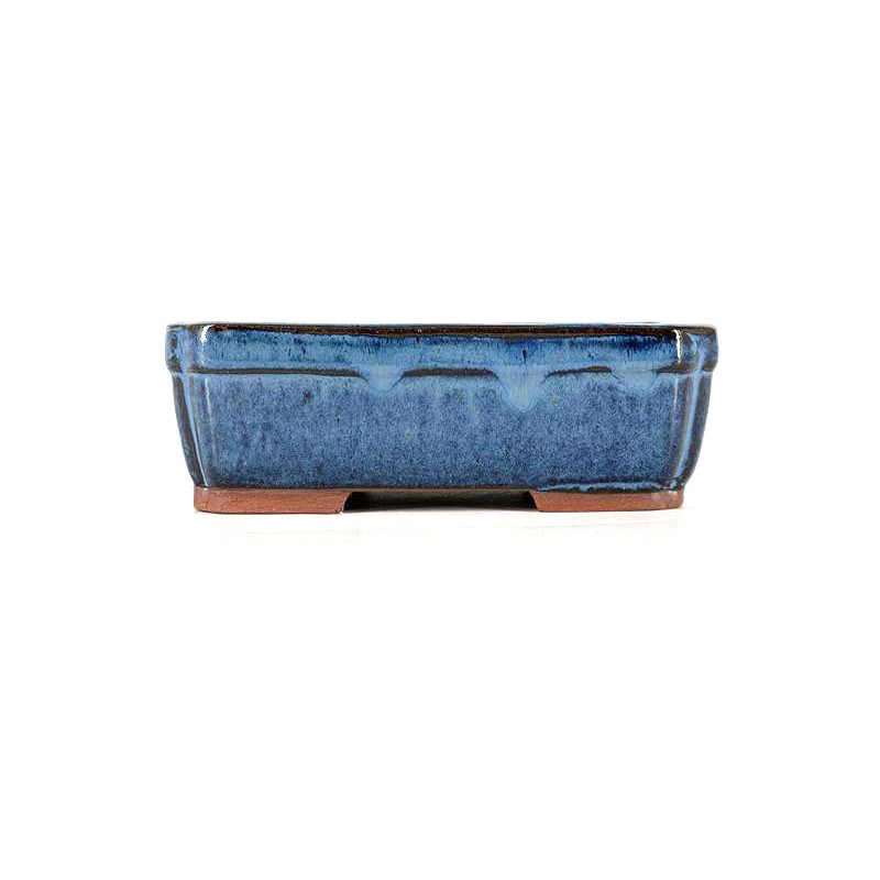 Tiesto rectangular 19 cm azul BG210/2