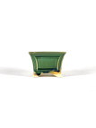 Tiesto cuadrado cascada 14,5 cm verde BG222