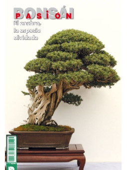 Revista nº87 Especial Sabinas