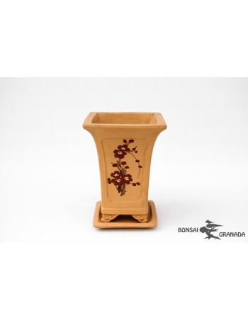 Tiesto cuadrado cascada para bonsai