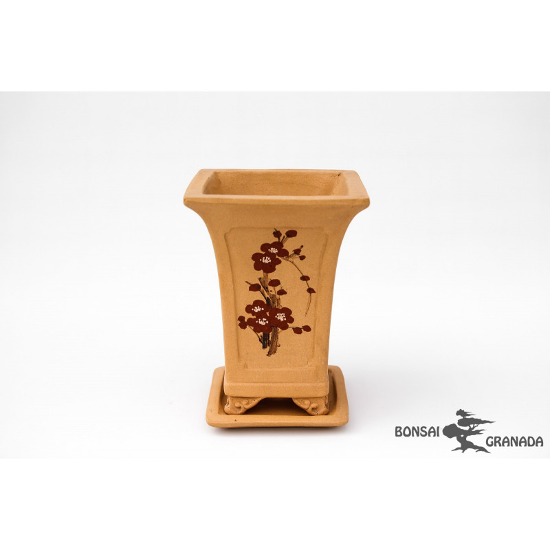 Tiesto cuadrado cascada para bonsai