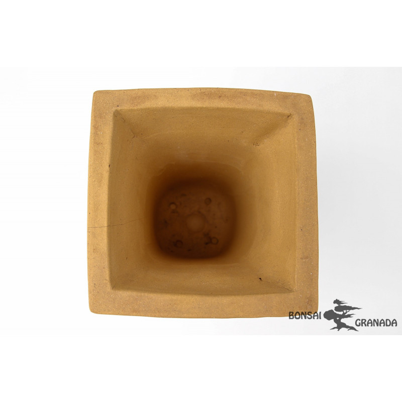 Tiesto cuadrado cascada para bonsai