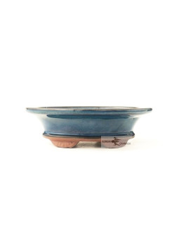 Tiesto oval 17.5 cm azul 55234 para bonsai