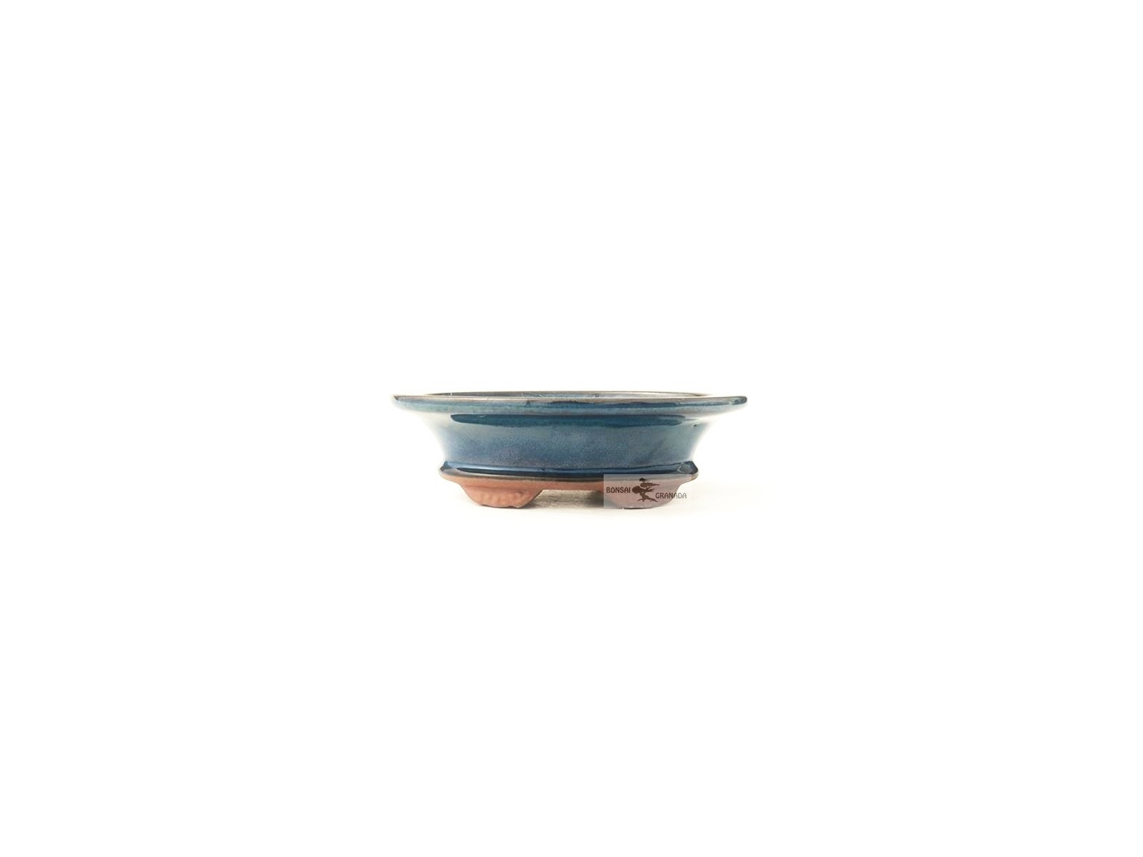 Tiesto oval 17.5 cm azul 55234 para bonsai