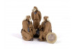 Figura 3 Ancianos 7 cm F30