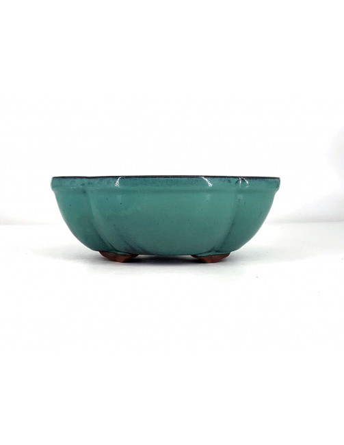 Tiesto flor 22.5 cm verde CA32/2