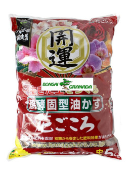 Hanagokoro 5 kg grano medio