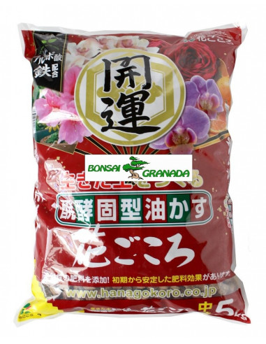 Hanagokoro 5 kg grano medio
