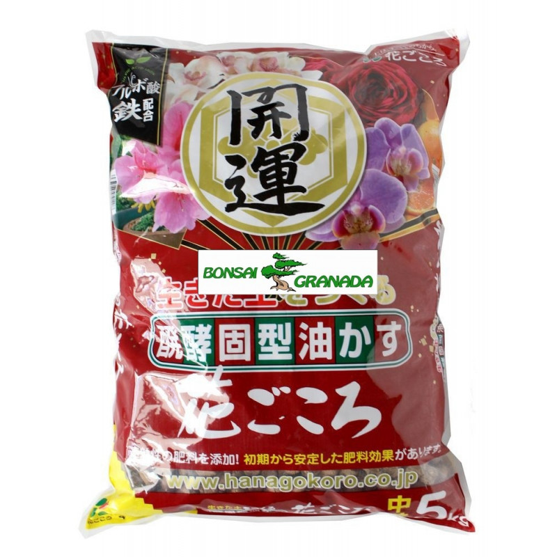 Hanagokoro 5 kg grano medio