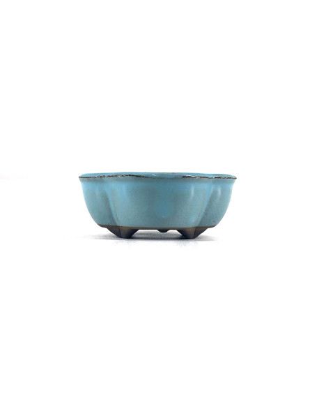 Tiesto flor 7 cm Yokkaichi aguamarina JY12/8AG