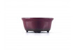 Tiesto flor 5 cm rosa Yokkaichi JY11/4RS