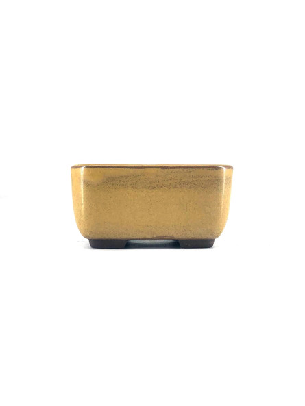 Tiesto rectangular 9.5 cm amarillo Yokkaichi JY15/3AM