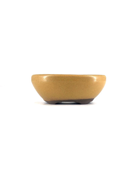 Tiesto ovalado 10.5 cm amarillo Yokkaichi JY15/1AM