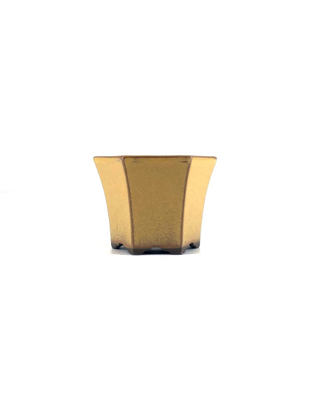 Tiesto hexagonal 8 cm amarillo Yokkachi JY15/2AM