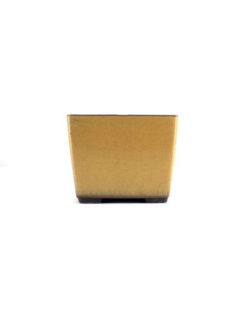 Tiesto cuadrado 11 cm amarillo Yokkaichi JY22/1AM