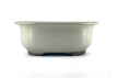 Tiesto ovalado 17.5 cm crema Yokkaichi  JY42/3C