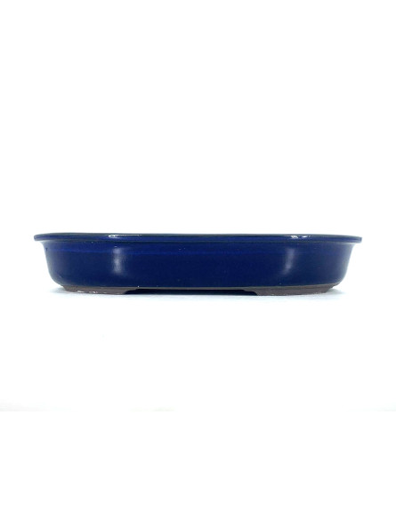 Tiesto ovalado 31 cm azul Yokkaichi JY55/1A