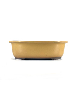 Tiesto rectangular 28 cm amarillo  Yokkaichi JY57/2AM
