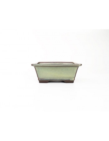 Tiesto rectangular 14 cm Yokkaichi verde 14432/3 bonsai