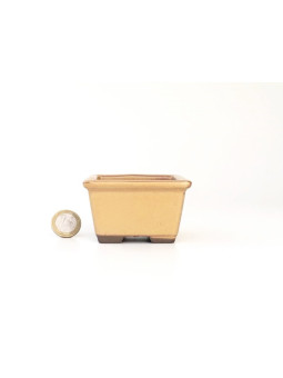 Tiesto cuadrado 8 cm Seto mostaza 14260/4