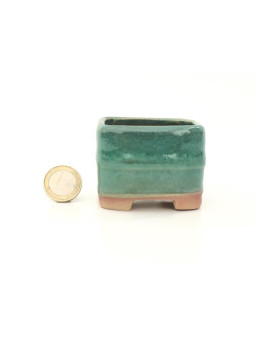 Tiesto redondo 5.5 cm verde Seto 14524/9
