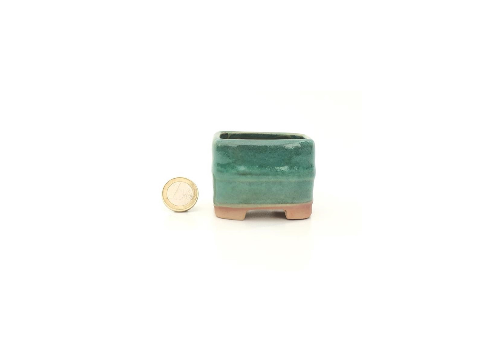Tiesto redondo 5.5 cm verde Seto 14524/9