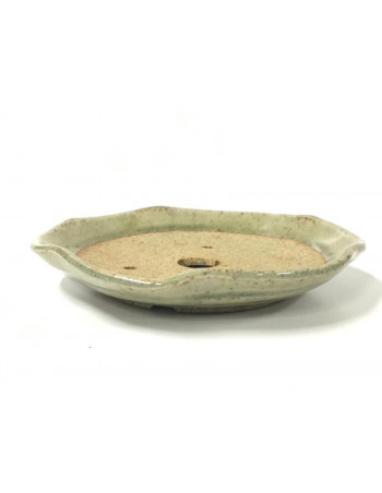 Tiesto redondo 17.5 cm Seto 14534 bonsai