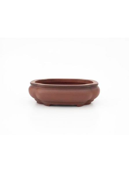 Tiesto mokko 16 cm Yixing 14547 sin esmaltar bonsai