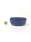 Tiesto oval 10.5 cm azul Yokkaichi 13732/25 bonsai