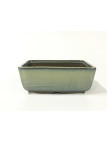 Tiesto rectangular 14 cm verde Yokkaichi 14566 bonsai