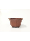 Tiesto hexagonal 12 cm Yixing 14576 sin esmaltar bonsai