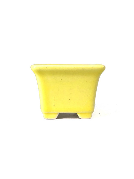 Tiesto cuadrado 5 cm Yixing amarillo CPA38