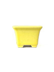 Tiesto cuadrado 5 cm Yixing amarillo CPA38