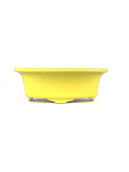 Tiesto ovalado 16.5 cm Yixing amarillo CPA95