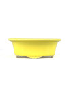 Tiesto ovalado 16.5 cm Yixing amarillo CPA95