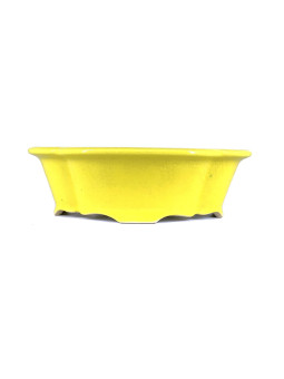 Tiesto flor//mokko 25 cm Yixing amarillo CPA90