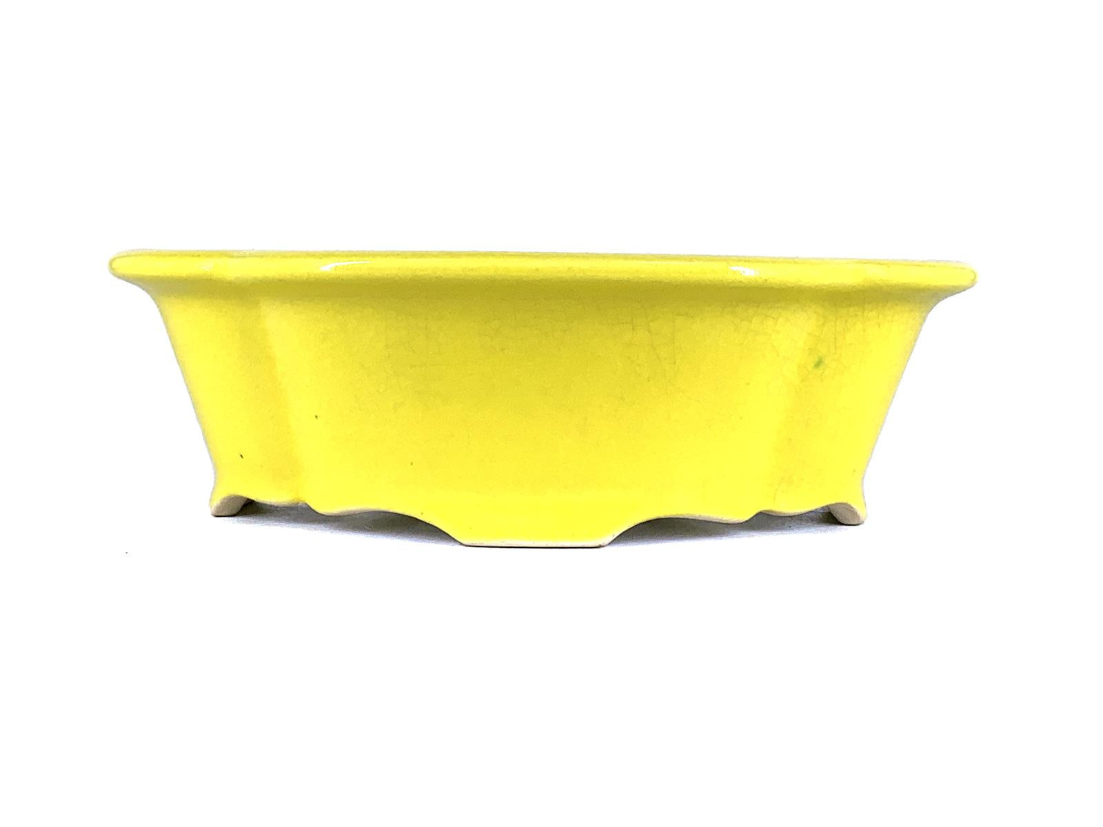 Tiesto flor//mokko 25 cm Yixing amarillo CPA90