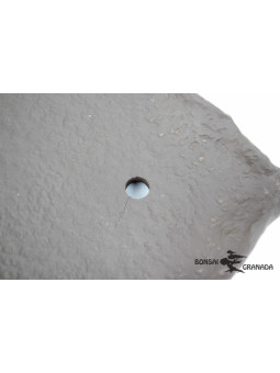 Bandeja rectangular 43 cm