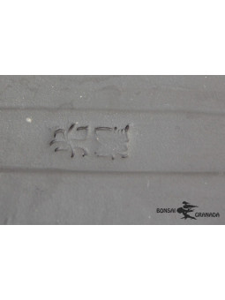 Bandeja rectangular 43 cm
