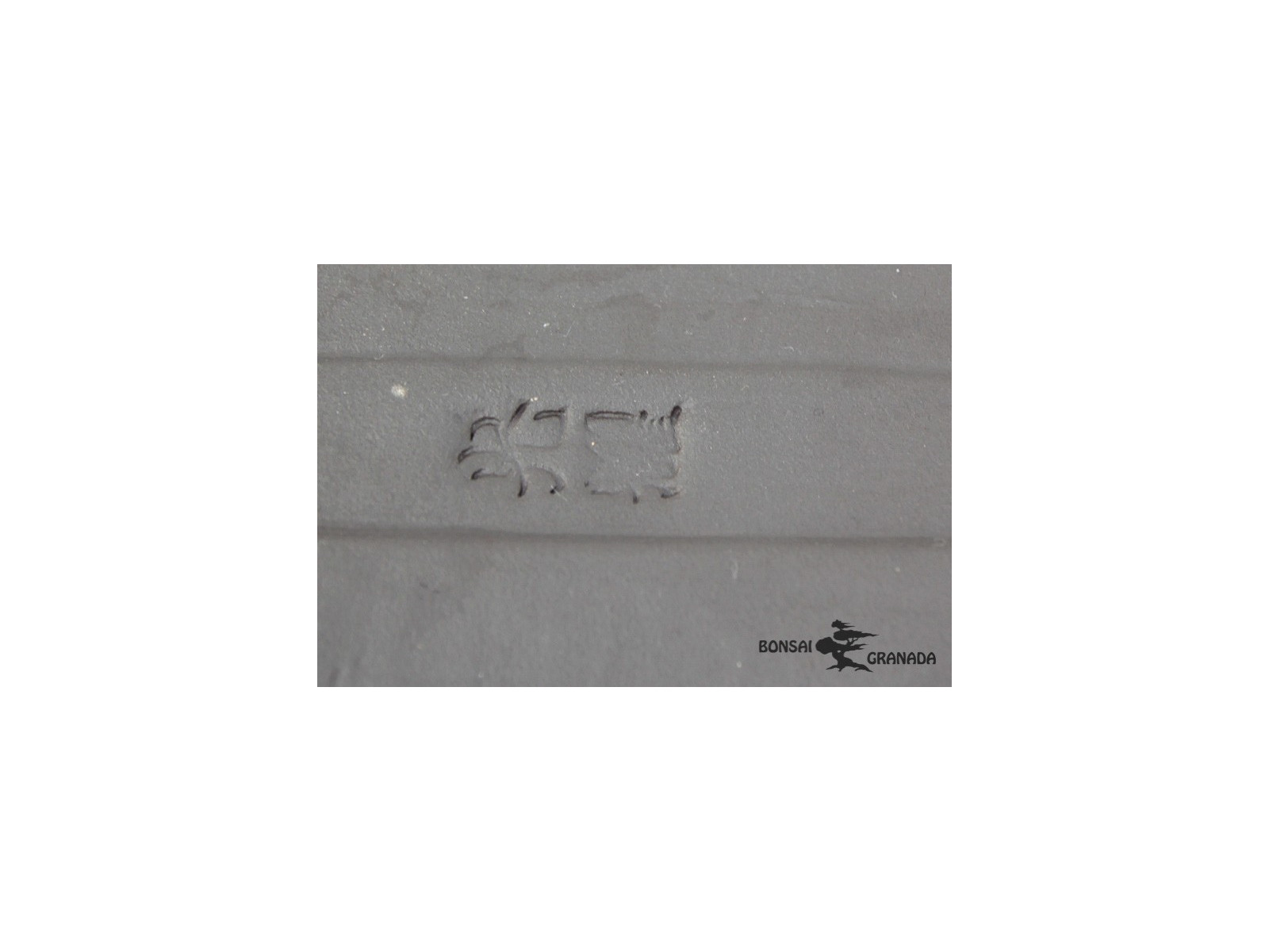 Bandeja rectangular 43 cm